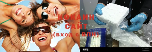 дживик Алзамай