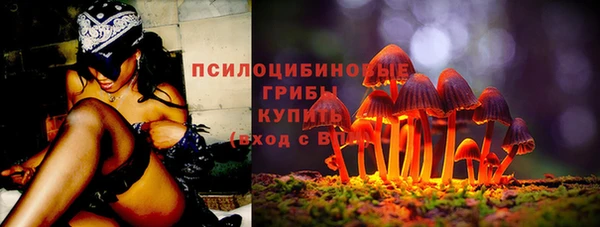 дживик Алзамай