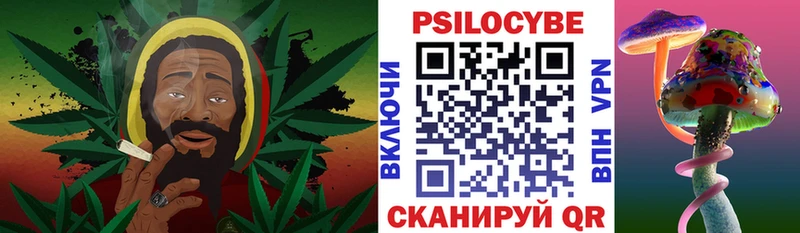 продажа наркотиков  MEGA маркетплейс  Псилоцибиновые грибы мухоморы  Жирновск 